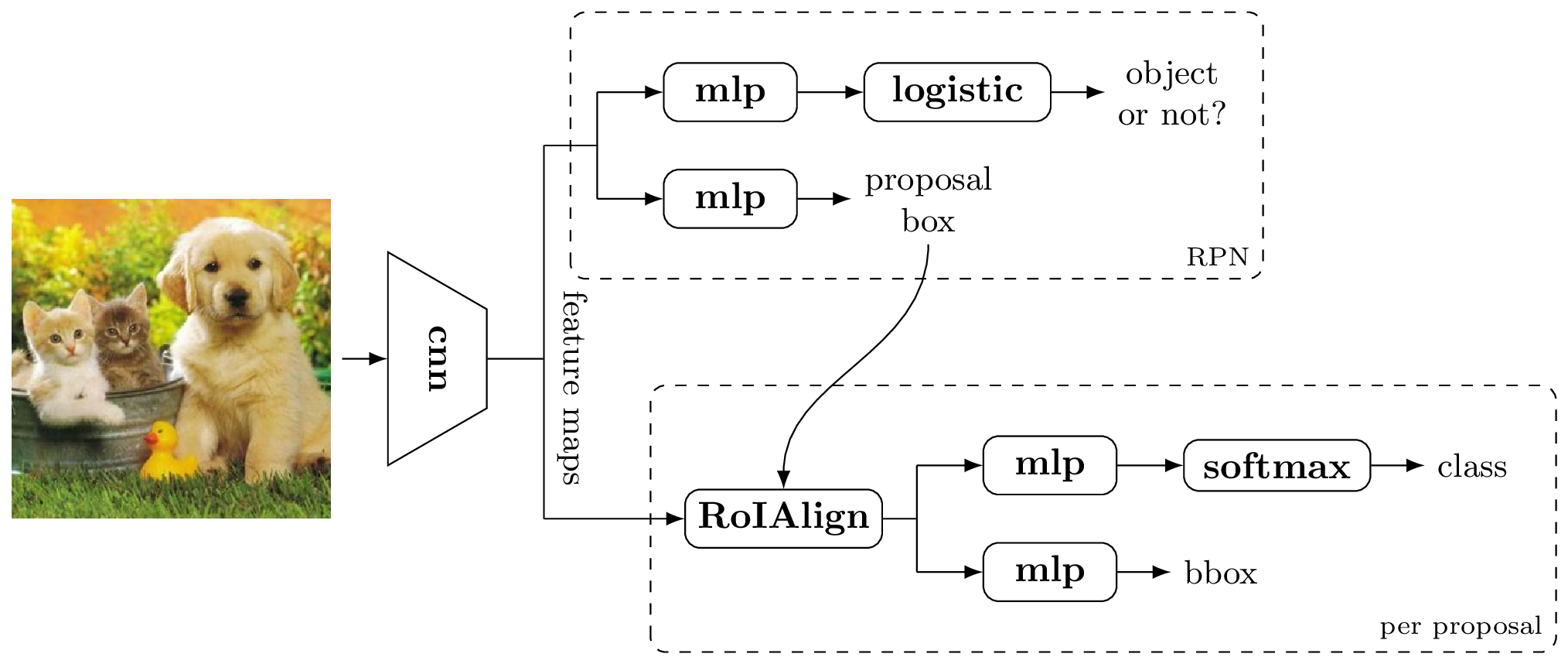 Overview of the Faster R-CNN model architecture