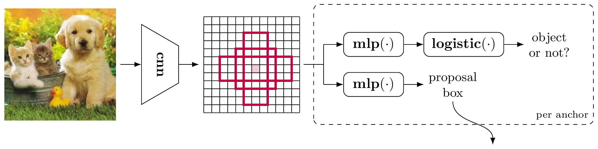 Region proposal network (RPN) architecture