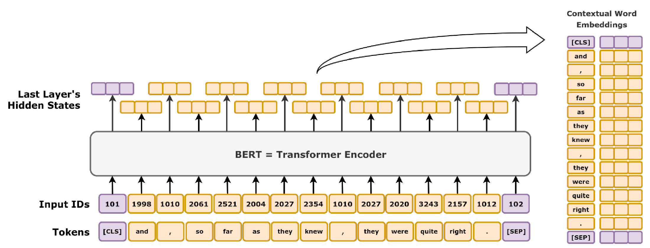 The BERT [22] model for learning language embeddings