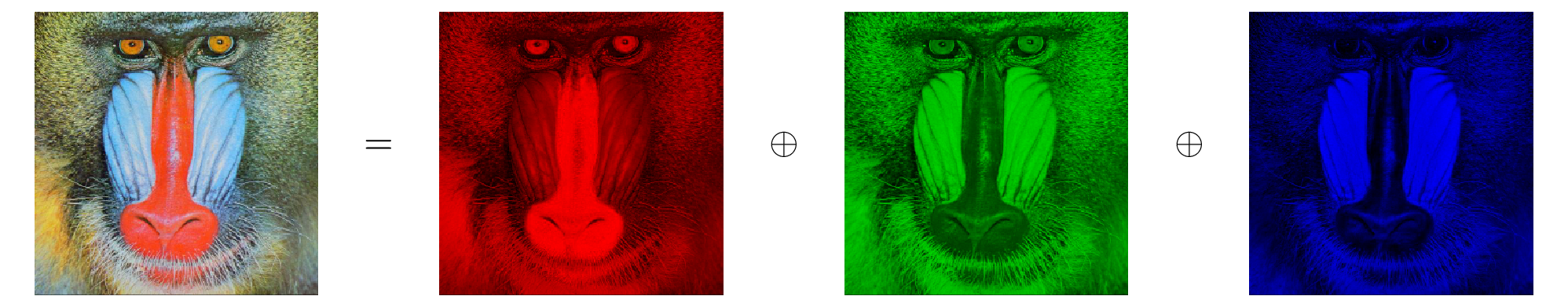 A colour image is represented using a third-order tensor composed of red, green and blue channels. (Mandrill image from USC Image Database, https://sipi.usc.edu