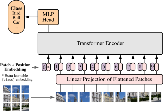 The visual transformer (ViT) [23]