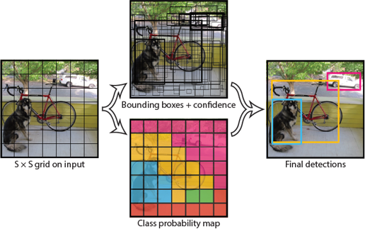 YOLO [84] network architecture for single-stage object detection